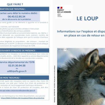 Informations sur les loups