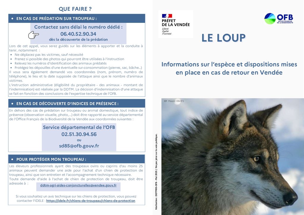 actualité