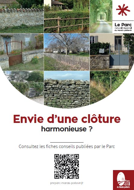 actualité