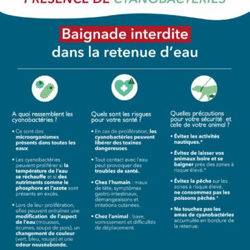 Vendée eau : information Cyanobactéries