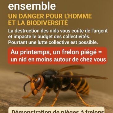 Portes ouvertes pièges à frelons asiatique