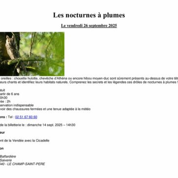 Les nocturnes à plumes