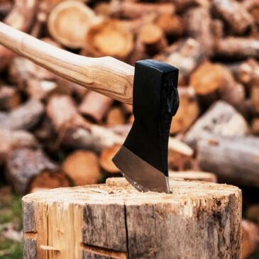 Vente de bois départementale A FENDRE